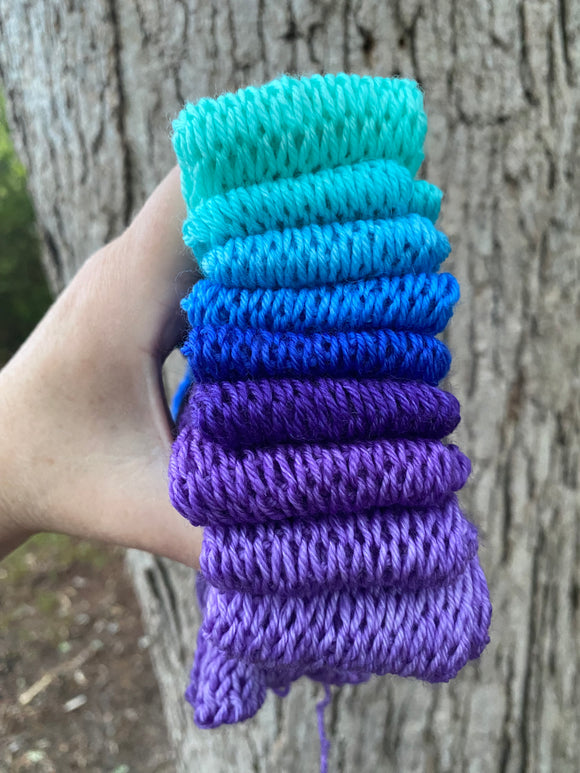 Calico Succulent,  MCN, 430 yards, fingering weight