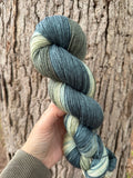 Woodland Tink, Hand Dyed Yarn