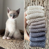 Set Me Free, Gradient Dyed Yarn, Hand Dyed Yarn