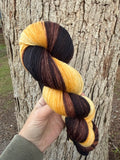 Bumble Bee, Hand Dyed Yarn, Gradient yarn