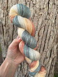 Drake, Hand Dyed Yarn