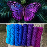 Lavish Butterfly, Gradient, Hand dyed Yarn, Worsted, 218 yds