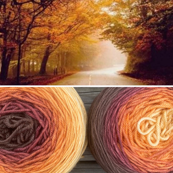 Autumn Pumpkin, DK weight, 460 yards, SW Merino