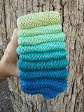 Sing Along with the Birds, Hand Dyed Yarn, Gradient yarn