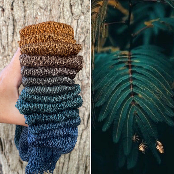 Lady Fern, Lace gradient, 875 yards, Yak