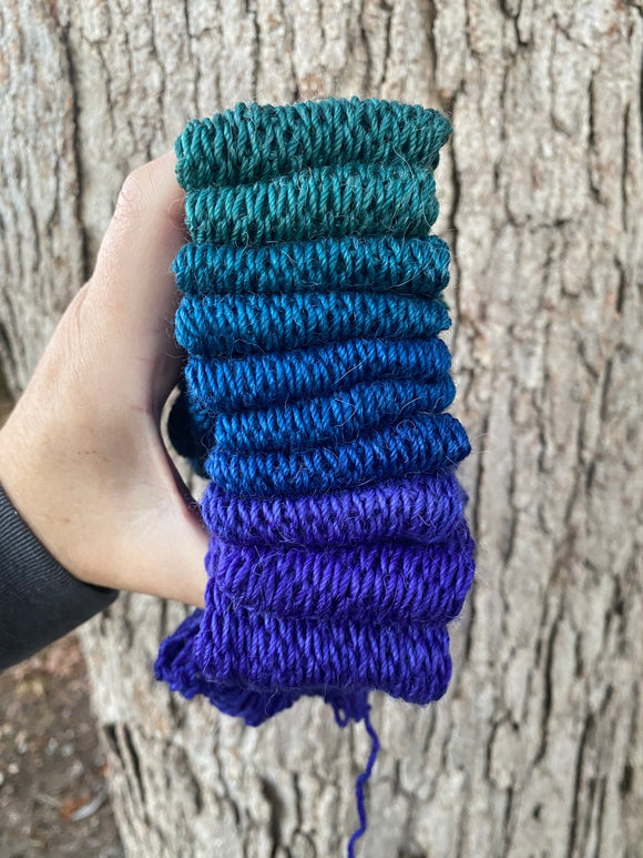 Over Dyed Dragonfly, Gradient Dyed Yarn, Hand Dyed Yarn