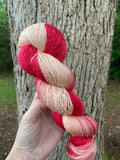 Strawberry Treat, Gradient Dyed Yarn,  600 yards