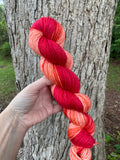 DK Weight Gradients, Red/Orange