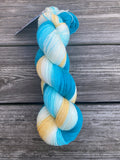 Daisies on Tuesday, Gradient Yarn, 800 yards, Fingering Weight Yarn