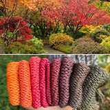 October Garden, Gradient Dyed Yarn