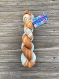 Sly Fox, Gradient Dyed Yarn, Hand Dyed Yarn, 400 yards