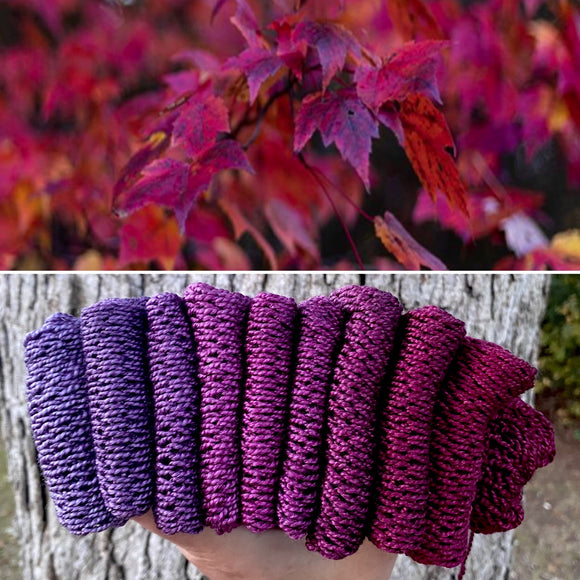 Maple Fury, Hand Dyed Yarn, Gradient, 600 yards