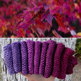 Maple Fury, Hand Dyed Yarn, Gradient, 600 yards