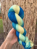 Sing Along with the Birds, Hand Dyed Yarn, Gradient yarn