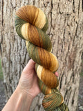 Swamp Oak, Hand Dyed Yarn, Gradient yarn