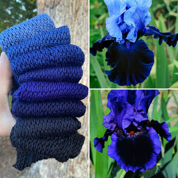 Black Iris, Hand Dyed Yarn, Gradient Yarn