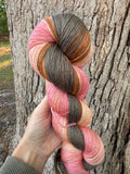 Seasons In between, 800 yards, Hand Dyed Yarn