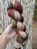 Autumn Ramble, Hand Dyed Yarn, Gradient, 600 yards