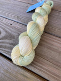 Daisy Land, Gradient Dyed Yarn, Hand Dyed Yarn, 400 yards