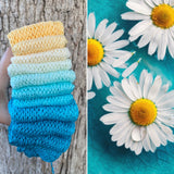 Daisies on Tuesday, Gradient Yarn, 800 yards, Fingering Weight Yarn