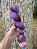 Life Force, Hand Dyed Yarn, Gradient, 600 yards