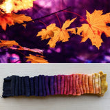 Marbled Autumn Holler, Hand Dyed Yarn