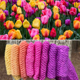 Tulip Run, 800 yards, fingering weight