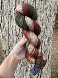 Autumn Ramble, Hand Dyed Yarn, Gradient, 600 yards