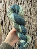 Woodland Tink, Hand Dyed Yarn