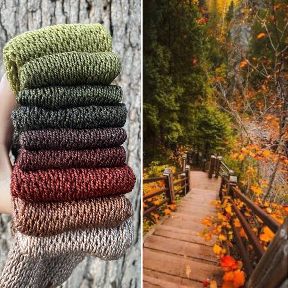 Autumn Ramble, Hand Dyed Yarn, Gradient, 600 yards