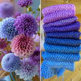 Sugar Zinnia, Gradient Yarn