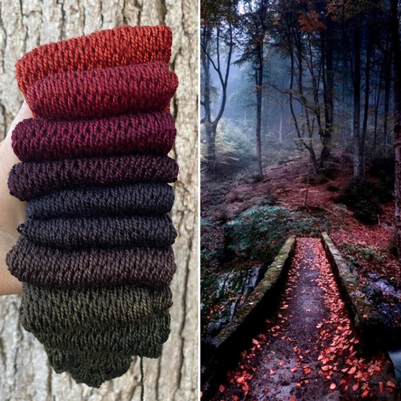 Dark Fae, Hand Dyed Yarn, Gradient yarn