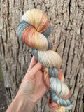 Drake, Hand Dyed Yarn