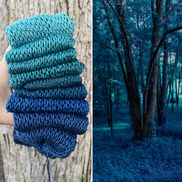 Stealing Indigo Forest, Gradient Dyed Yarn, Hand Dyed Yarn, 600 yards