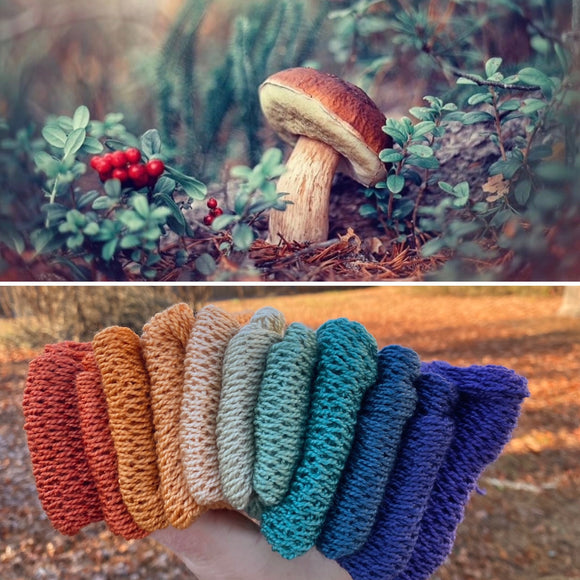 Magical Mushroom, Hand Dyed Yarn, Yarn, 800 yards