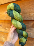 Forest Floor, Gradient Yarn