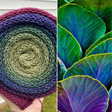 Ornamental Cabbage, SWM/SILK/YAK, 430 yards, fingering weight